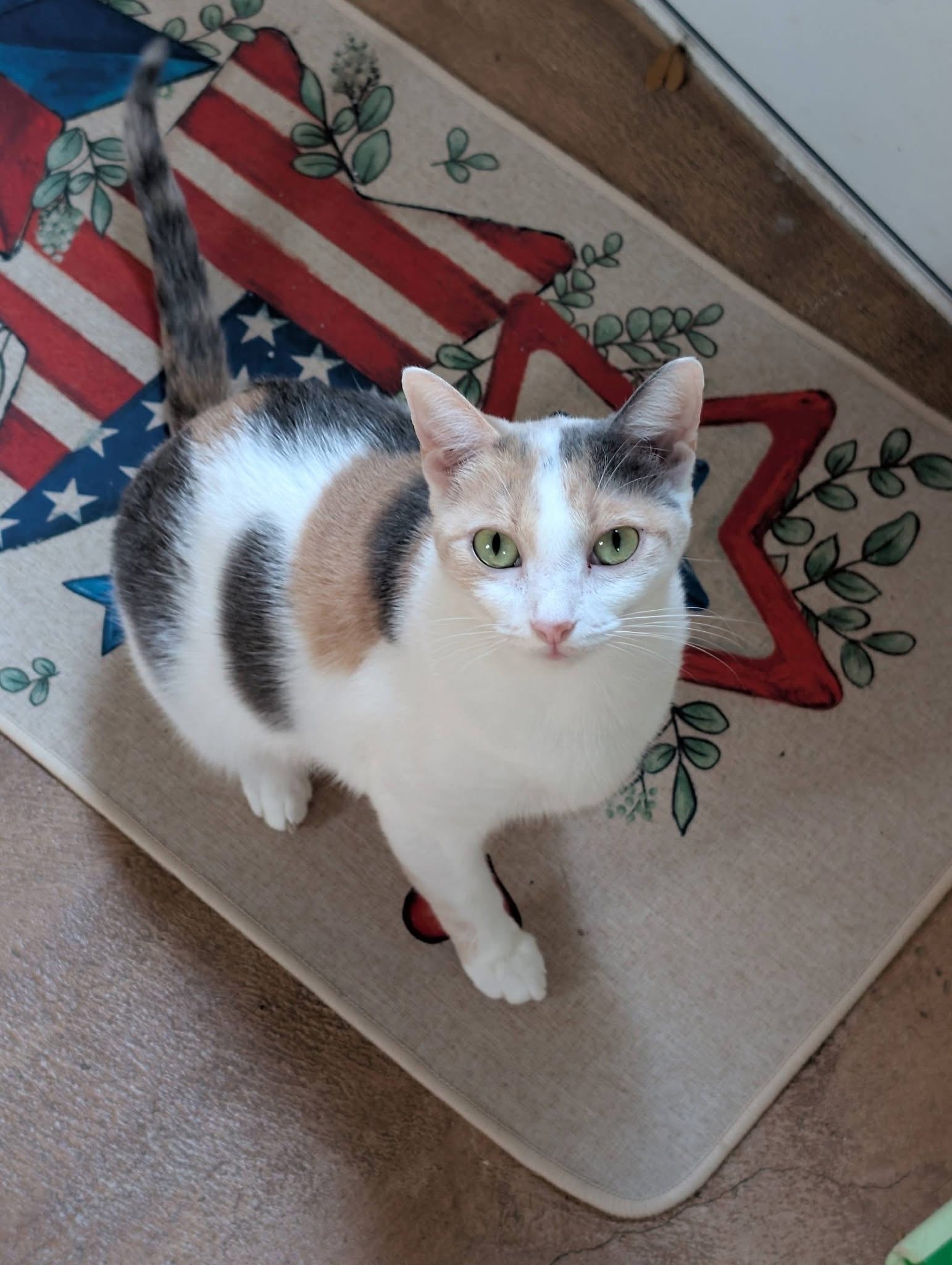 Lily